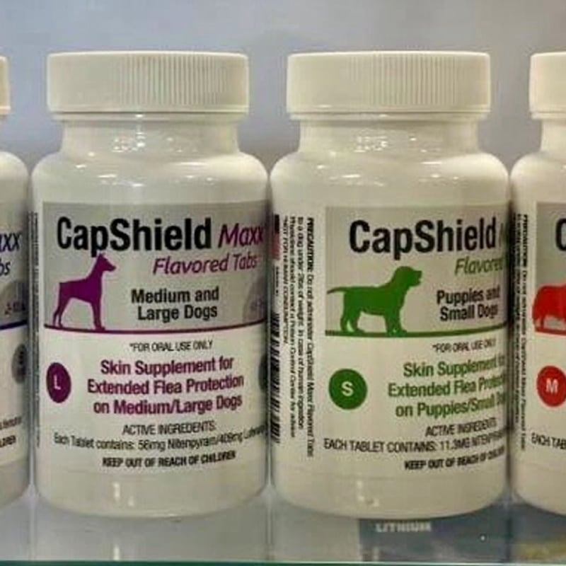  CapShield DeSoto Town & Country
