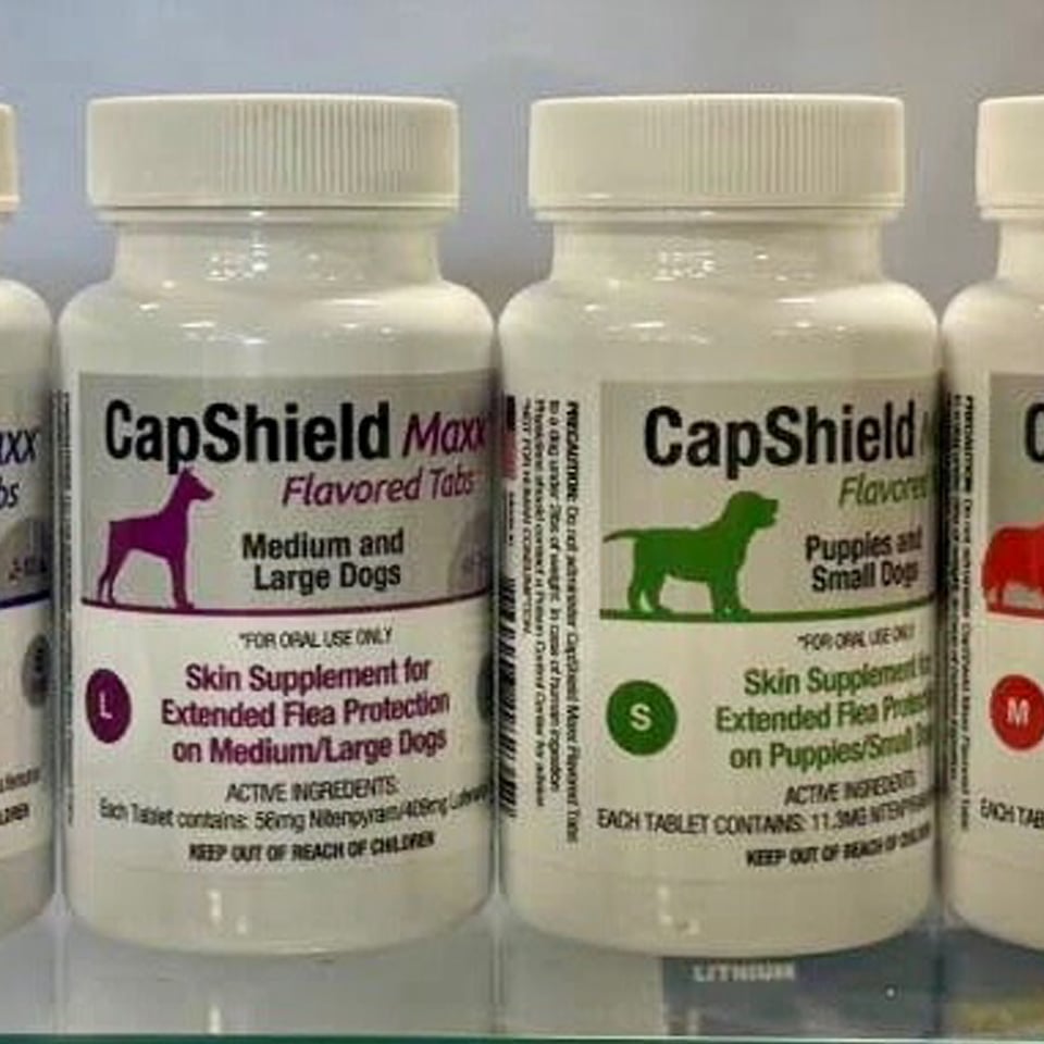  CapShield DeSoto Town & Country