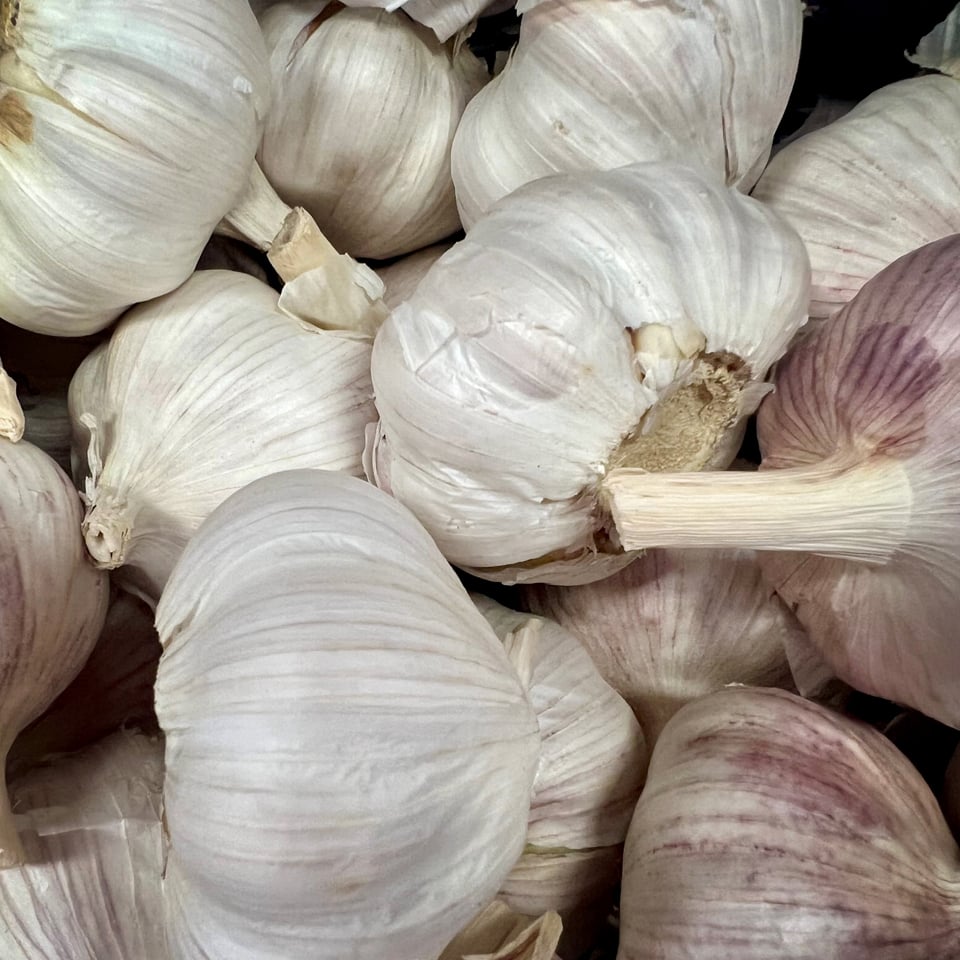 DeSoto Town & Country