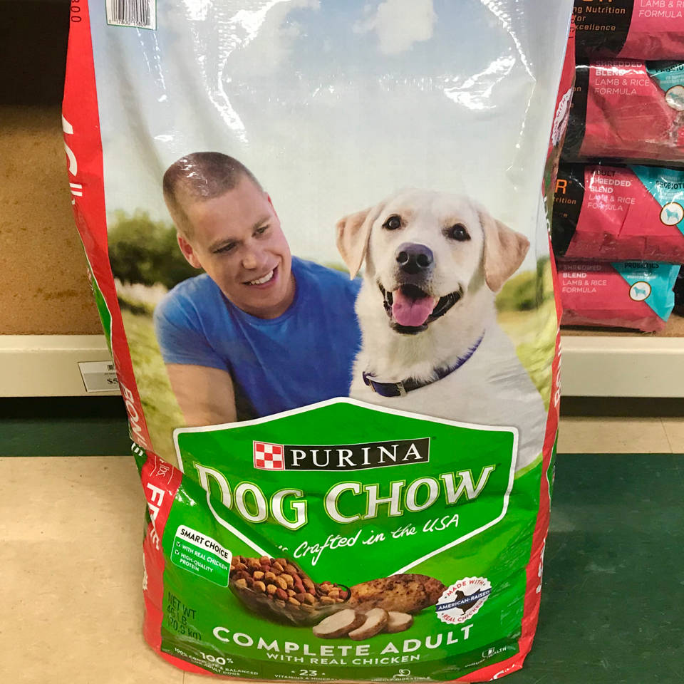 Purina Dog Chow Dog Food