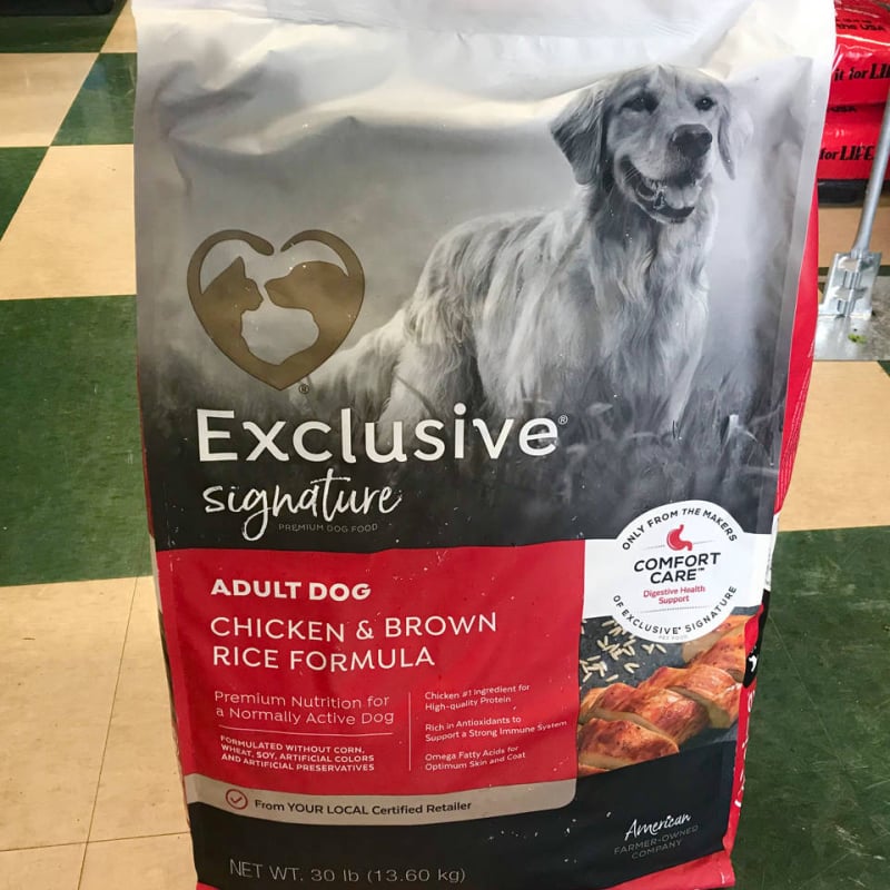 Exclusive Signature Dog Food
