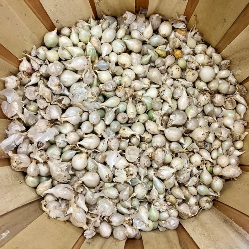 DeSoto Town & Country